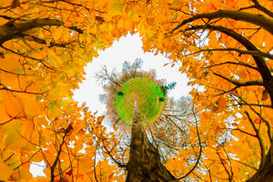 زیباترین تصاویر پاییز از نمای دوربین ۳۶۰ درجه
