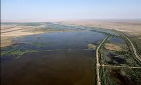 عضو کمیسیون کشاورزی: تالاب هورالعظیم فقط ۳۸ درصد آب دارد / حق‌آبه آن تأمین نشده است
