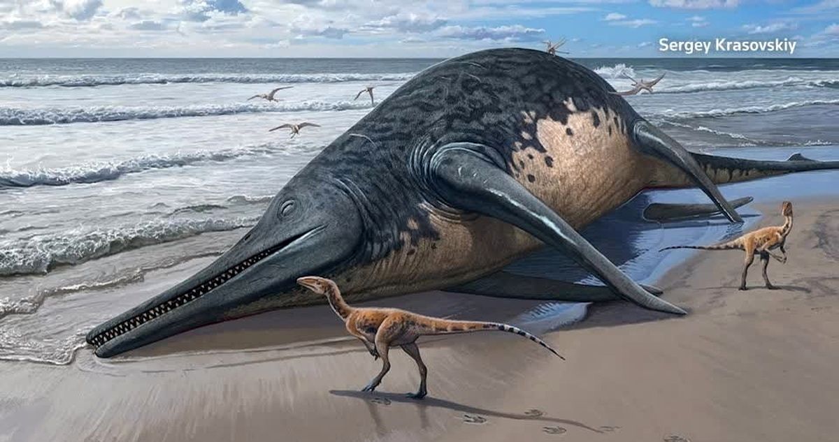کشف اتفاقی استخوان بزرگترین موجود دریایی که 202 میلیون سال قبل وجود داشت/ ویدئو