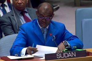 سودان خواهان برگزاری نشست فوری شورای امنیت درباره «تجاوزات امارات» شد

