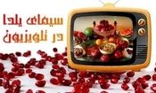 تلویزیون و یلدا/ از بازگشت «چهل‌تیکه» تا مادرانه شبکه سه