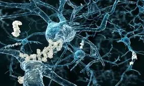 مقابله با کاهش آسیب مغزی مبتلایان به آلزایمر با نوعی اسپری بینی

