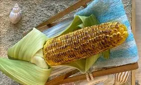 ژاپن غذاهای پلاستیکی خود را به نمایش گذاشت