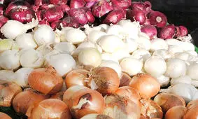 هفته آینده پیاز ارزان می‌شود

