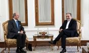 تاکید «عراقچی» بر آمادگی ایران برای گسترش روابط با کشورهای اروپایی بر اساس منافع مشترک
