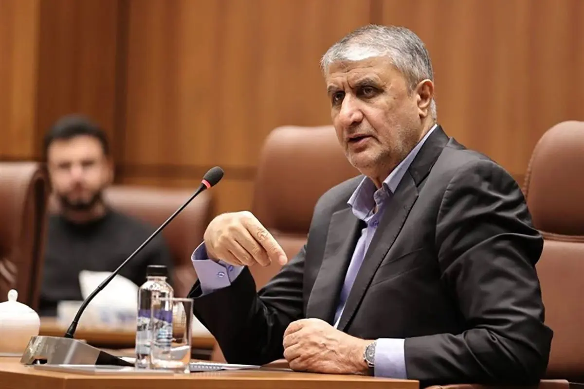 فشار آمریکا مانع حضور رئیس سازمان انرژی اتمی ایران در کنفرانس آژانس شد/ محمد اسلامی و هیات همراه وی به کشور بازگشتند