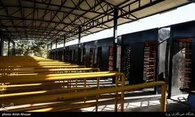 تخلف متصدیِ گیت‌ها برای ورود هوادارانِ بدون بلیت به داخل ورزشگاه/ ویدئو 