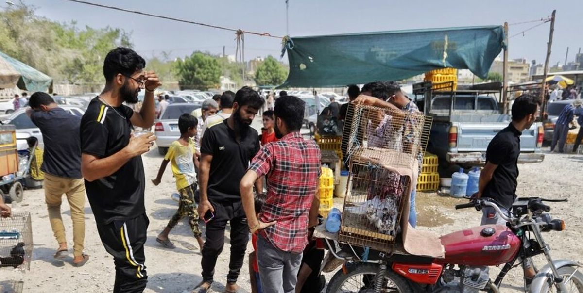 جمعه بازار فروش حیوانات و پرندگان اهلی در بندرعباس