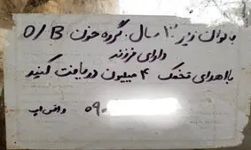 تجارت چراغ خاموش «اهدای تخمک»؛ معامله‌ای برای فروش «مادری»