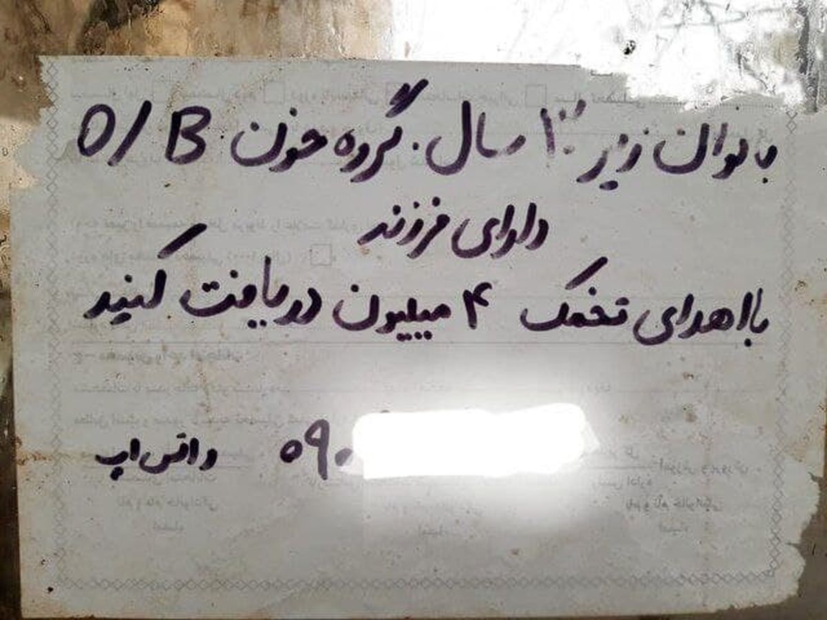 تجارت چراغ خاموش «اهدای تخمک»؛ معاملهای برای فروش «مادری»