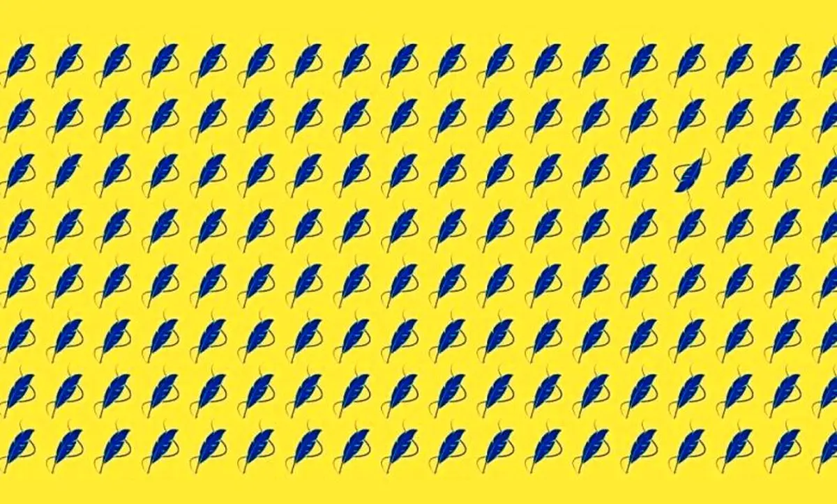 در میان پرهای به ظاهر یکسان، دو پر متفاوت هستند، آیا میتوانید آنها را در کمتر از ۸ ثانیه تشخیص دهید؟ 