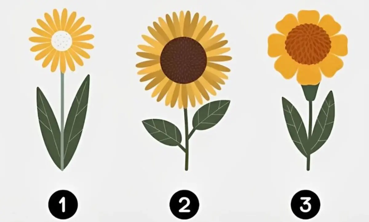  تست شخصیت شناسی: یکی از گل های زرد را انتخاب کنید تا بفهمید چه اندازه اهل ماجراجویی هستید