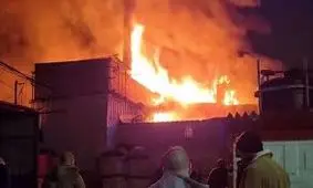 آتش سوزی مهیب در شمال فلسطین اشغالی