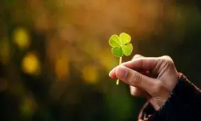 سه آموزه از مطالعه ۸۰ ساله هاروارد درباره خوشبختی