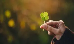سه آموزه از مطالعه ۸۰ ساله هاروارد درباره خوشبختی