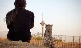 چرا «پیروز» یک ساله نشد؟/ «جای من نیستید که جیگرتون آتیش بگیره»