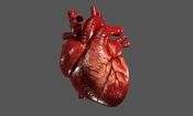 قلب چگونه خارج از بدن می تپد؟