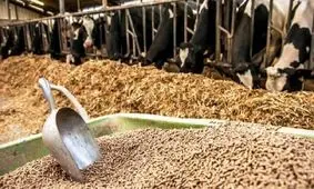 حتی با تشدید جنگ نگرانی برای تأمین نهاده‌ها وجود نخواهد داشت