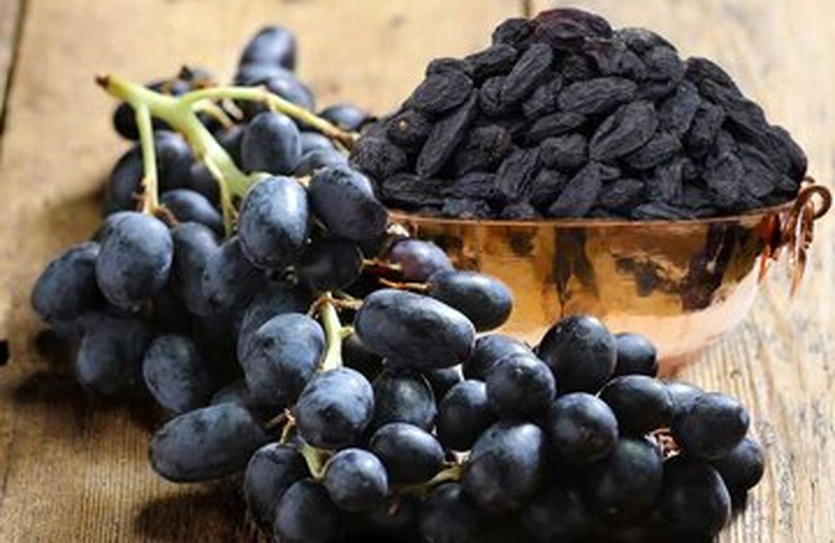  ۲۱ دانه جادویی؛ چرا باید هر روز مویز بخوریم؟ 