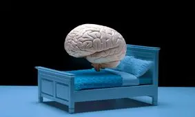 آیا تنبلی در مغز شروع می‌شود؟