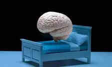 آیا تنبلی در مغز شروع می‌شود؟