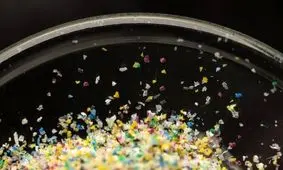 سموم محیطی، منشاء افزایش اختلالات عصبی