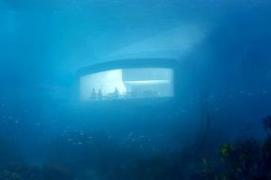 تصاویر جذاب‌ترین رستوران جهان؛ ۵ متر زیر دریا!