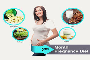 تغذیه ماه دوم بارداری: روی این مواد مغذی ضروری تمرکز کنید