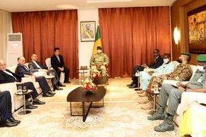 امیرعبداللهیان با رئیس دولت انتقالی جمهوری مالی دیدار کرد

