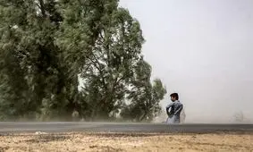 وزش بادهای جنوبی در استان بوشهر تداوم دارد

