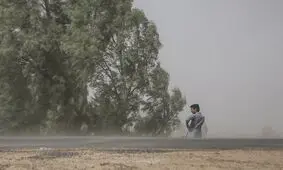 وزش بادهای جنوبی در استان بوشهر تداوم دارد

