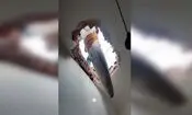 روایت خنثی‌سازی بمب عمل‌نکرده در خانه‌ای در تهران؛ صاحبخانه می‌خواست دستانم را ببوسد/ ویدئو