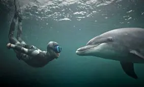 هوش مصنوعی می‌خواهد گفتگو با حیوانات را ممکن کند