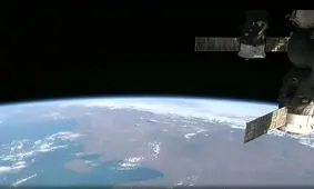پرورش جنین موش در فضا 