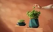 گلدانی که همراه با گیاه رشد می‌کند / عکس