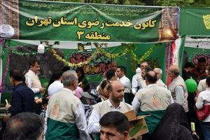 برپایی موکب خادمیاران رضوی منطقه ۳