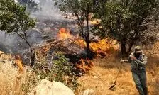 آتش سوزی مهار نشده در جنگل های هیرکانی؛ وقتی نبود امکانات، سرمایه ملی را می‌بلعد