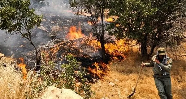 از روسیه و ترکیه برای اطفاء حریق جنگل های هیرکانی درخواست کمک کردیم اما فعلا  فقط ترکیه اعلام آمادگی کرد/ علت حادثه هنوز مشخص نیست/ در روزهای آینده خبرهای خوبی می رسد