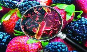 حسگر قابل حمل با قابلیت شناسایی غذای آلوده