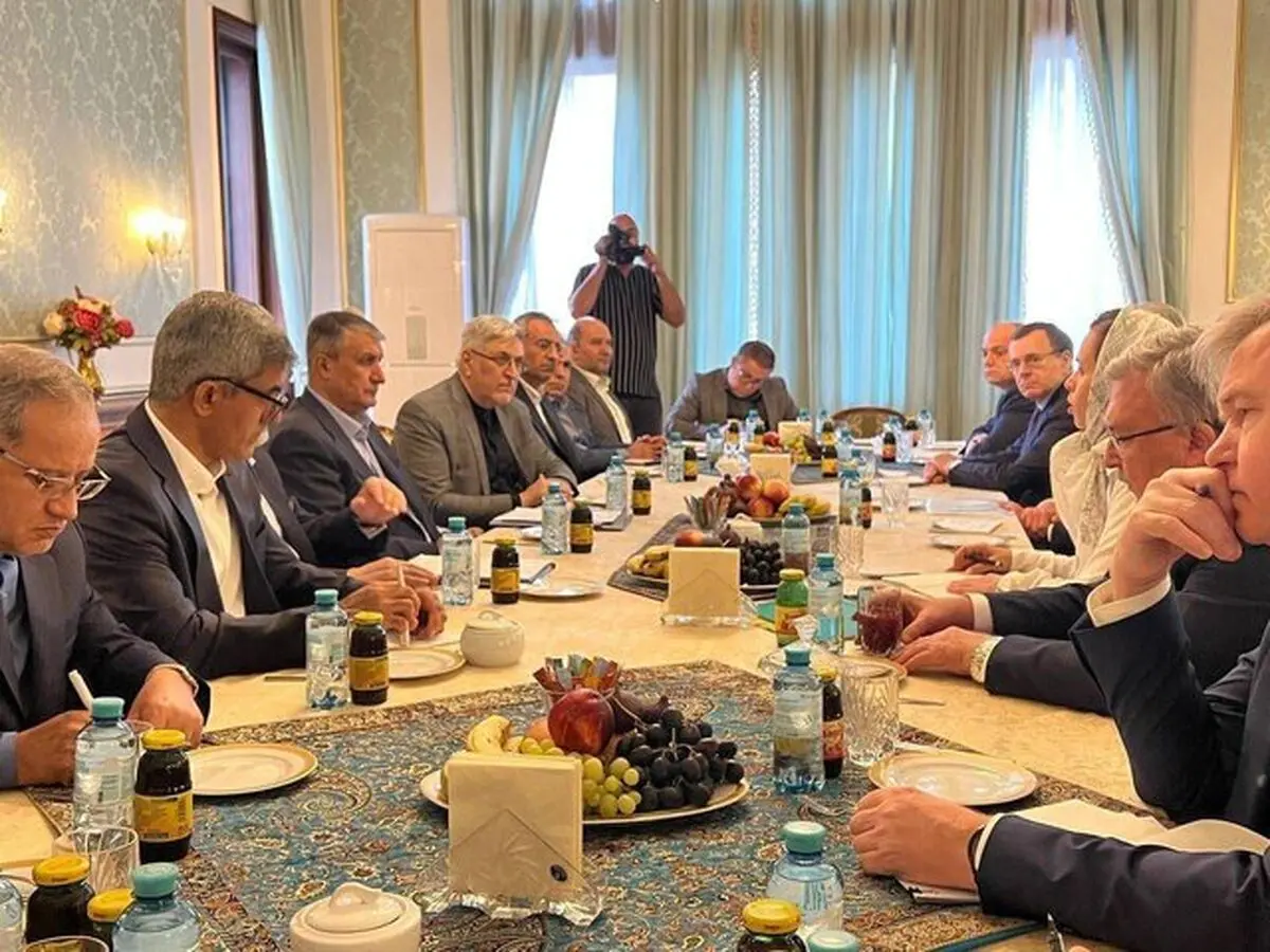 دیدار رئیس شرکت دولتی روس اتم با رئیس سازمان انرژی اتمی

