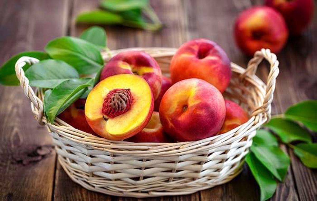 تفاوت هلو، شلیل، شبرنگ و شفتالو چیست؟