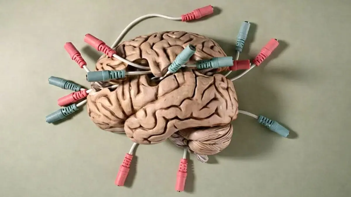 شنیدن صدای دوپامین در مغز زنده؛ رصد لحظه‌ای ترشح ناقل عصبی