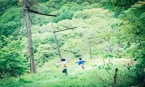 بازگشت هیروکازو کورئیدا با «هیولا» 