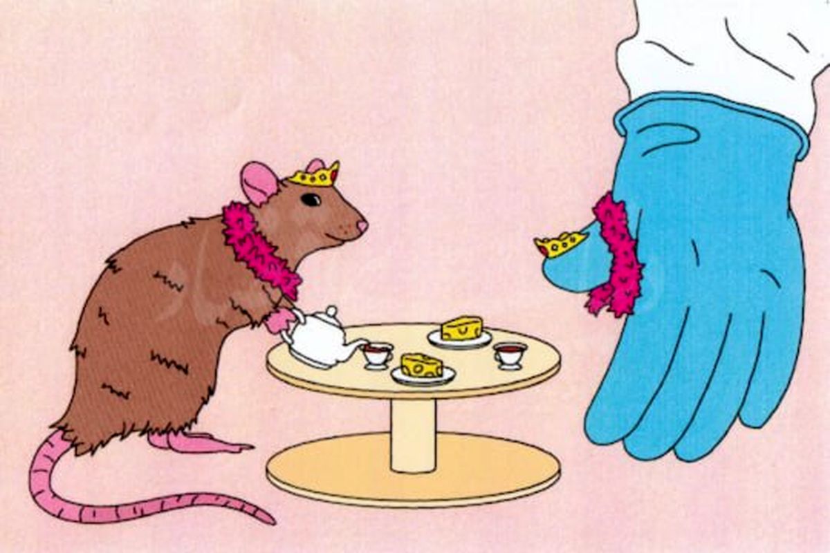 بازیگوشی موش‌ها می‌تواند راهگشای مشکلات آدمی باشد؟