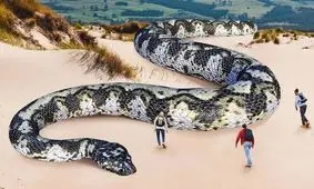 ۱۰ مار بزرگ جهان که توسط انسان دیده شده‌اند/ ویدئو