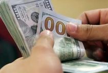 قیمت دلار، یورو و سایر ارزها؛ قیمت دلار تکان خورد