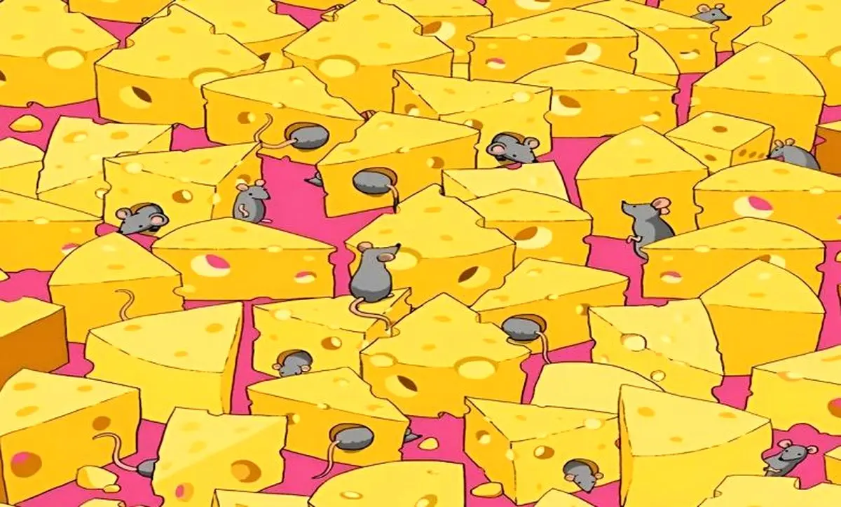 تست بینایی/ آیا می‌توانید تاس پنهان شده بین پنیرها و موش ها را در 6 ثانیه پیدا کنید؟ 