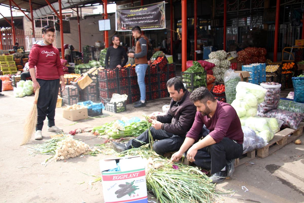 رئیس اتحادیه بار فروشان تهران: از ۵ اردیبهشت قیمت گوجه فرنگی زیر ۱۰ هزار تومان خواهد شد؛ سیبزمینی هم همین طور / پیاز در میدان اصلی میوه و ترهبار خریدار ندارد / ۴۰ سال است که تقاضا میکنیم مسئولان برنامهریزی کنند کشاورز بداند چه میزان کشت کند