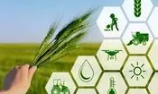 اعلام ضریب امنیت غذایی در ایران | چقدر از مواد غذایی مورد نیاز در ایران تولید می‌شود؟