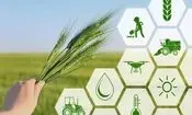 اعلام ضریب امنیت غذایی در ایران | چقدر از مواد غذایی مورد نیاز در ایران تولید می‌شود؟